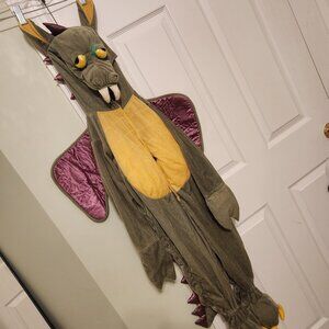 Dragon costume